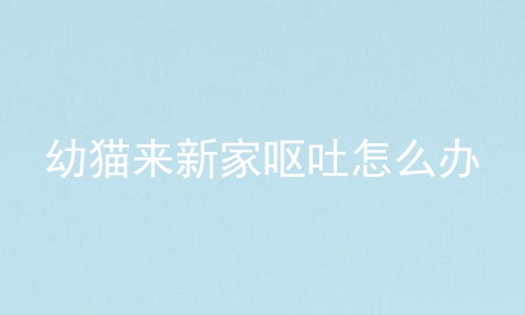 幼猫来新家呕吐怎么办