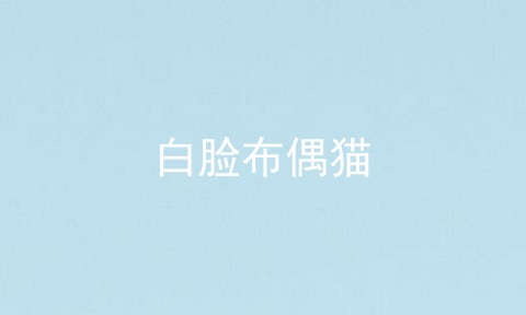 白脸布偶猫