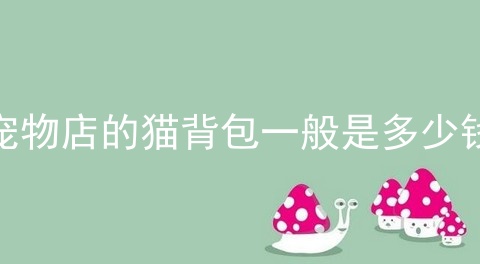 宠物店的猫背包一般是多少钱