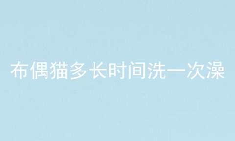 布偶猫多长时间洗一次澡