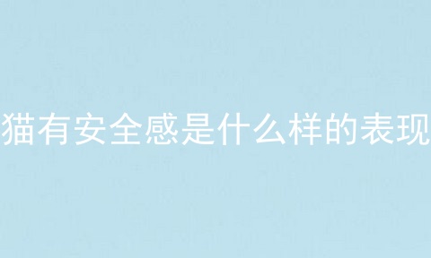 猫有安全感是什么样的表现