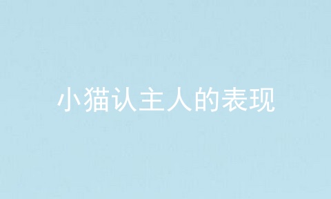 小猫认主人的表现