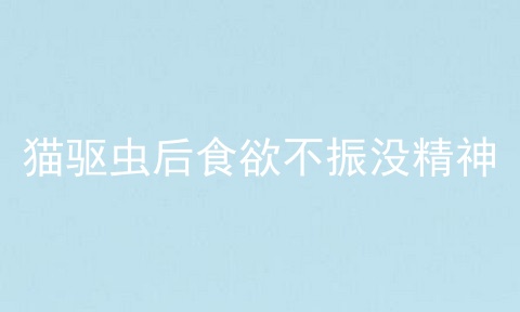 猫驱虫后食欲不振没精神