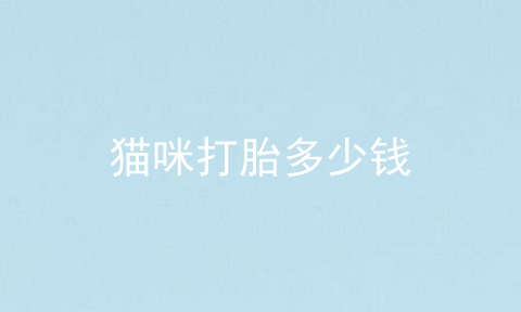 猫咪打胎多少钱