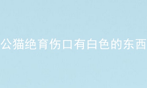 公猫绝育伤口有白色的东西