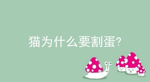 猫为什么要割蛋?