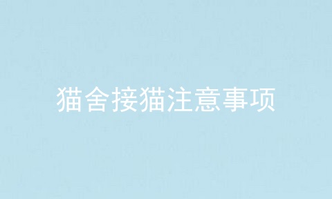 猫舍接猫注意事项