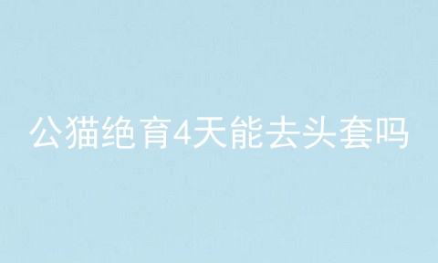 公猫绝育4天能去头套吗