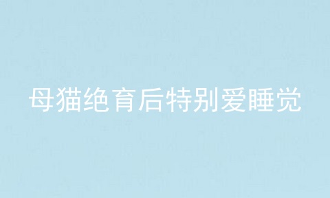 母猫绝育后特别爱睡觉