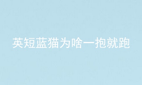英短蓝猫为啥一抱就跑