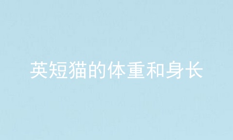 英短猫的体重和身长