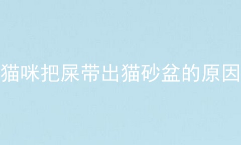 猫咪把屎带出猫砂盆的原因