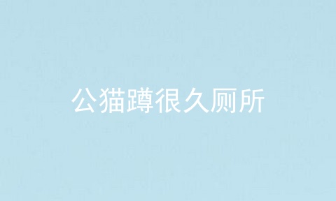公猫蹲很久厕所