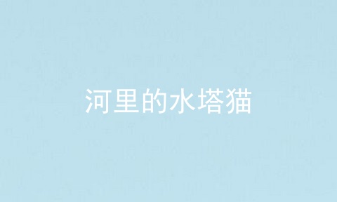 河里的水塔猫
