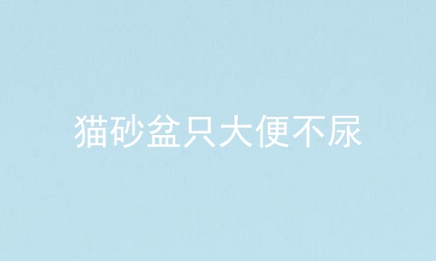 猫砂盆只大便不尿