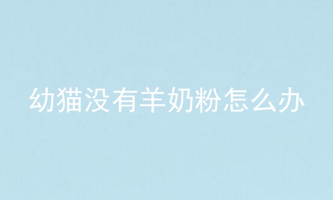 幼猫没有羊奶粉怎么办