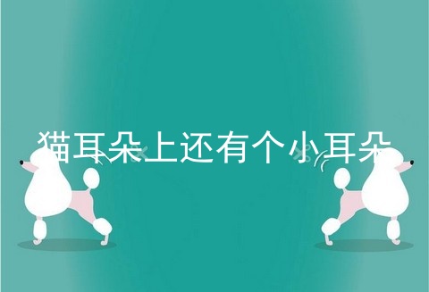 猫耳朵上还有个小耳朵