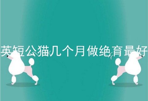 <a href=/cat/13.html target=_blank class=infotextkey>英短</a>公猫几个月做绝育最好