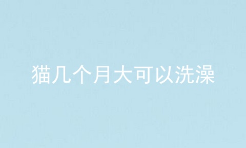 猫几个月大可以洗澡