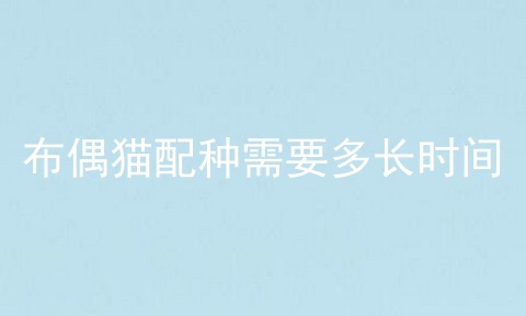 布偶猫配种需要多长时间