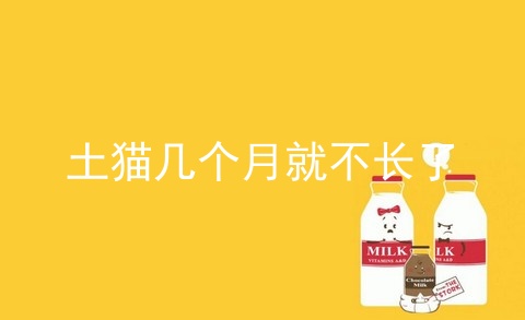 土猫几个月就不长了