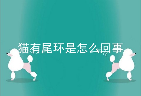 猫有尾环是怎么回事