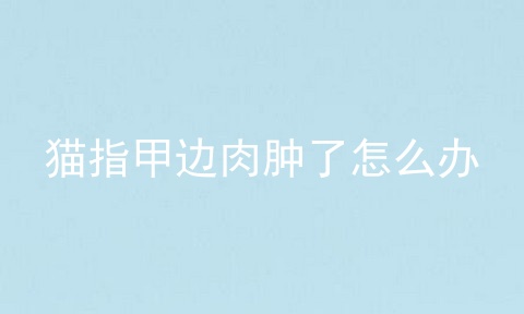 猫指甲边肉肿了怎么办
