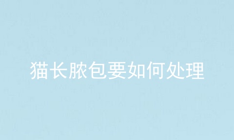 猫长脓包要如何处理