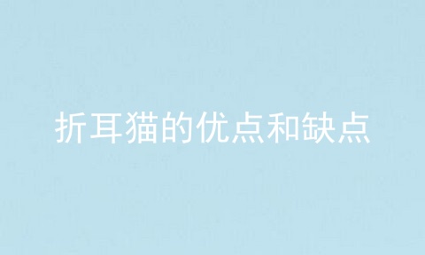 折耳猫的优点和缺点