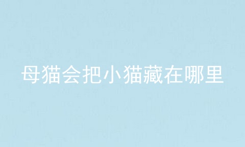 母猫会把小猫藏在哪里