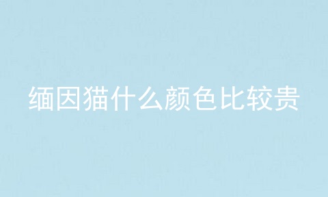 缅因猫什么颜色比较贵