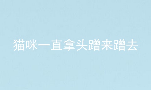 猫咪一直拿头蹭来蹭去