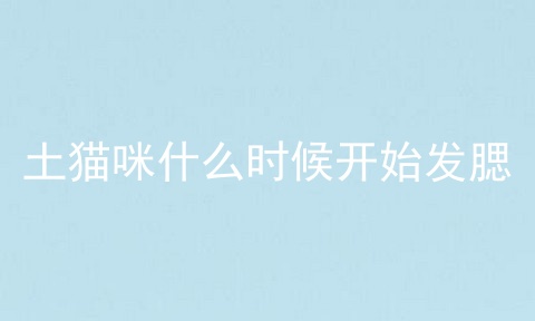 土猫咪什么时候开始发腮