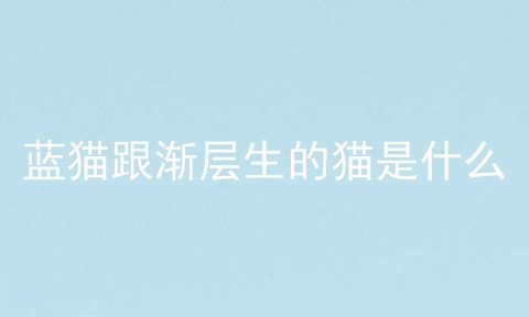 蓝猫跟渐层生的猫是什么