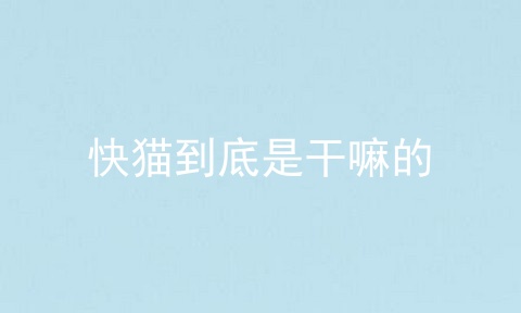 快猫到底是干嘛的