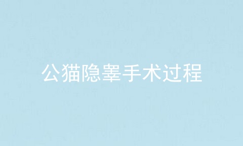 公猫隐睾手术过程