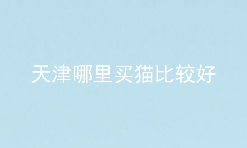 天津哪里买猫比较好