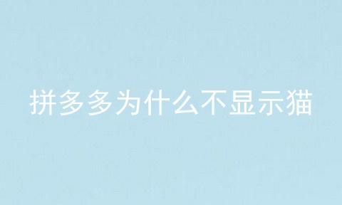 拼多多为什么不显示猫