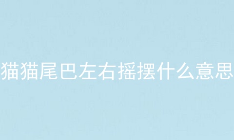 猫猫尾巴左右摇摆什么意思