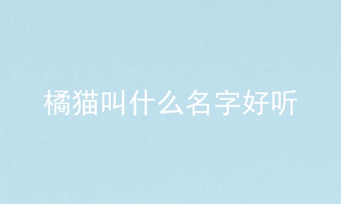 橘猫叫什么名字好听