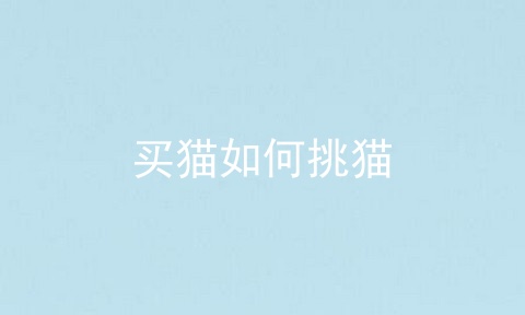 买猫如何挑猫