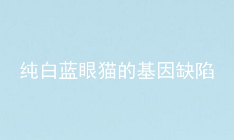 纯白蓝眼猫的基因缺陷