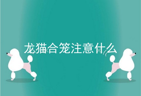龙猫合笼注意什么