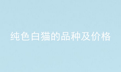 纯色白猫的品种及价格