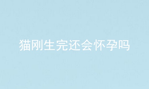 猫刚生完还会怀孕吗
