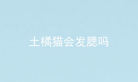 土橘猫会发腮吗