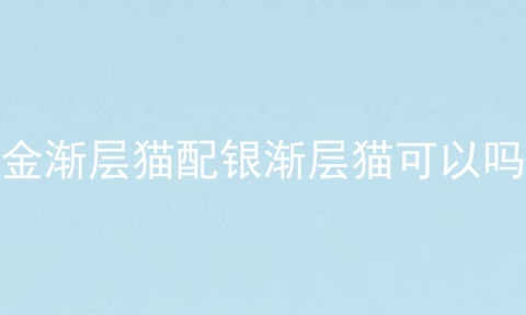 金渐层猫配银渐层猫可以吗