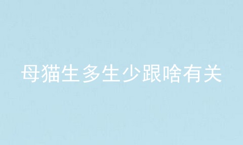 母猫生多生少跟啥有关
