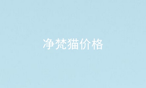 净梵猫价格