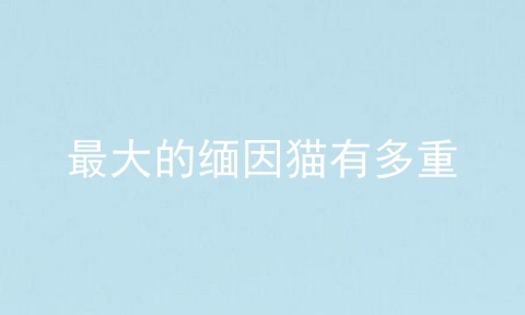 最大的缅因猫有多重